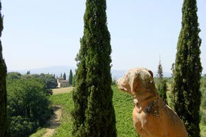 Storico castello a Castelfiorentino