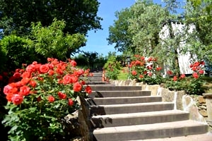 Exclusive Medieval tower in Monterchi