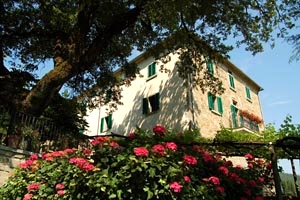 Luxury Villa Monterchi