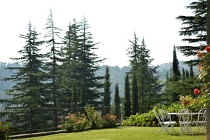 Luxury Villa Monterchi