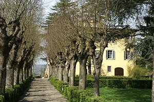 Ancient Luxury Villa in Pistoia