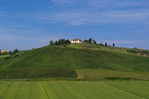 Villa de lujo en Certaldo. Alquiler de villa de lujo en Certaldo (Florencia) en la campia de Empoli