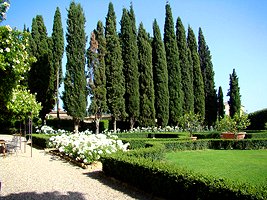 Villa de lujo en Barberino Val d`Elsa