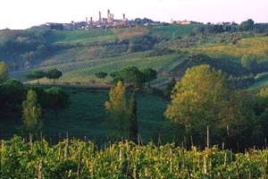 Historic luxury villa in Colle Val dElsa