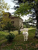 Villa de lujo Mugello