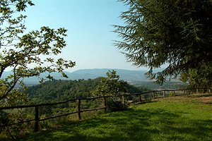 Elegante villa a Borgo San Sorenzo