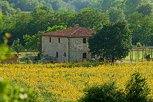 Villa en el Valdarno