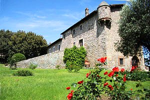 Antico castello in Maremma