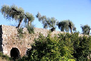 Antico castello in Maremma