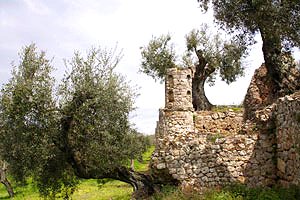 Antico castello in Maremma