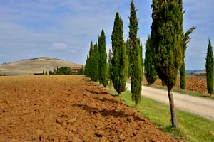 Luxury villa Pienza