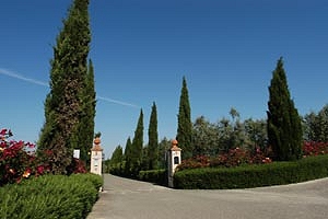 Luxury villa near San Gimignano