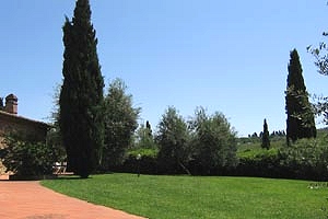 Luxury villa near San Gimignano