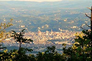 Historic villa Fiesole