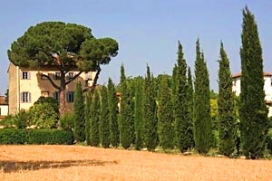 Antigua villa Arezzo