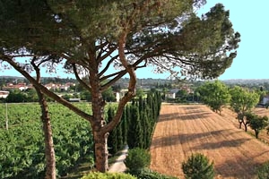 Ancient Villa Arezzo