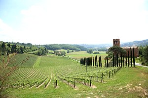 Elegante storica villa a San Miniato